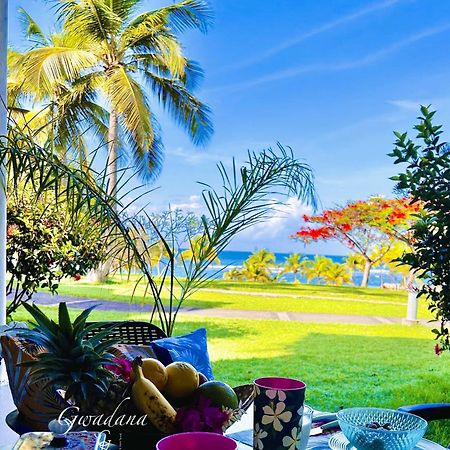Acces Direct Plage, Vue Mer D'Exception, Les Gwada Studios, Village Vacances サンタンヌ エクステリア 写真
