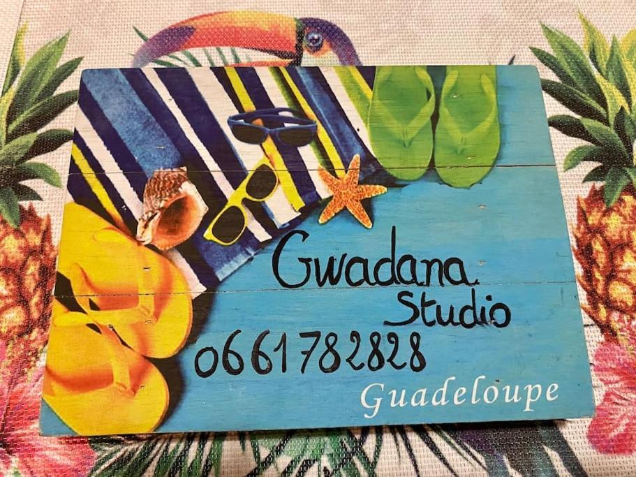 Acces Direct Plage, Vue Mer D'Exception, Les Gwada Studios, Village Vacances サンタンヌ エクステリア 写真