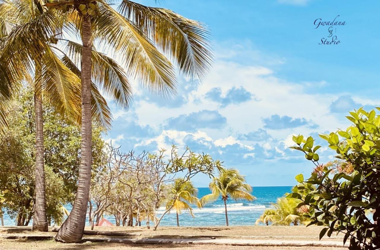 Acces Direct Plage, Vue Mer D'Exception, Les Gwada Studios, Village Vacances サンタンヌ エクステリア 写真