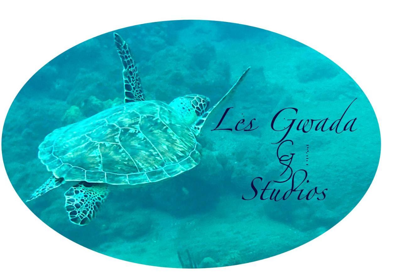 Acces Direct Plage, Vue Mer D'Exception, Les Gwada Studios, Village Vacances サンタンヌ エクステリア 写真