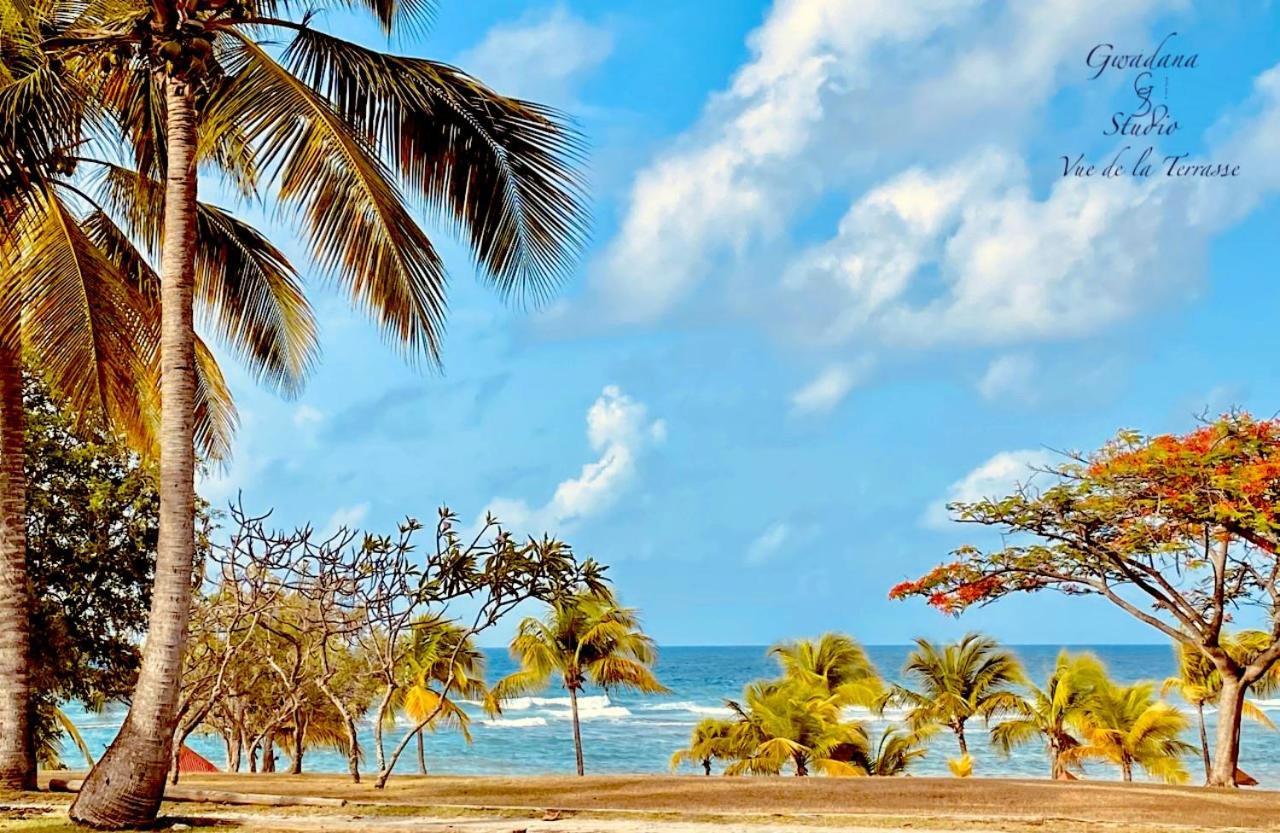Acces Direct Plage, Vue Mer D'Exception, Les Gwada Studios, Village Vacances サンタンヌ エクステリア 写真