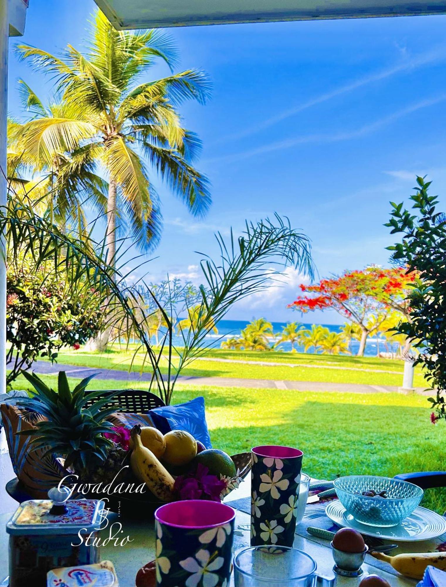 Acces Direct Plage, Vue Mer D'Exception, Les Gwada Studios, Village Vacances サンタンヌ エクステリア 写真
