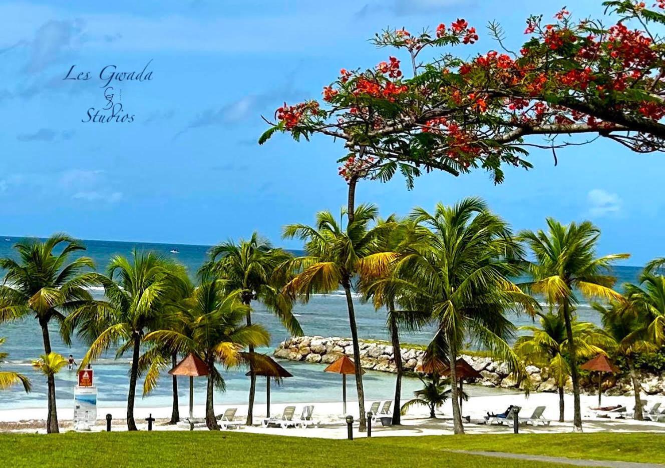 Acces Direct Plage, Vue Mer D'Exception, Les Gwada Studios, Village Vacances サンタンヌ エクステリア 写真
